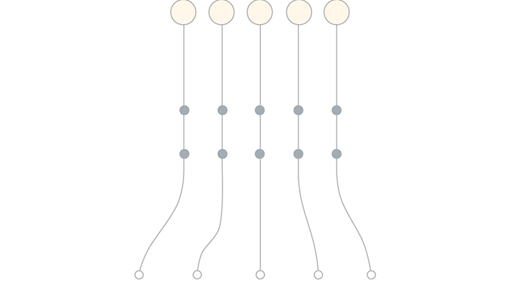 Career paths in IT