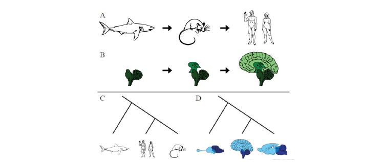 Neuroscience