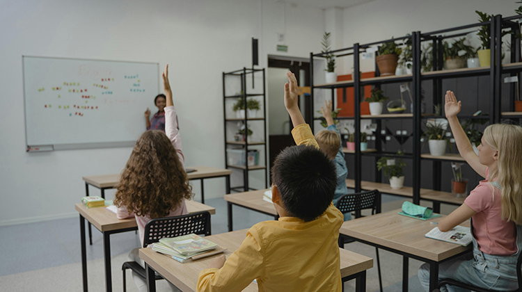 Teaching